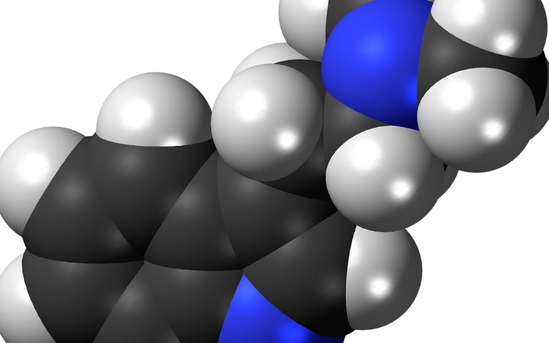 BECCA SAMEASU and LORELEI ROUX Deliver a Thought-Driven Masterpiece Dubbed, “CHURCH OF THE INNER COSMOS”