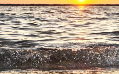 Nottingham-Based Producer and Artist, Kamilsey, Is Back With an Epic Latin-Flavored Pop Banger, “Trust in Me”