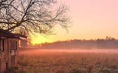 Multi-Instrumentalist, Singer, and Songwriter Gavin Davies Takes a Leap of Faith With His New Album, “Some Light Shines.”