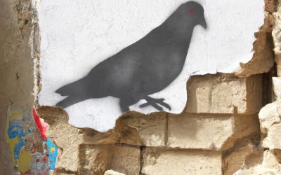 UK-Based Band Shaven Primates’ New Album, “Birds Aren’t Real” Is a Must-Have for Fans of Dark-Wave, Art-Rock, and Post-punk Influences