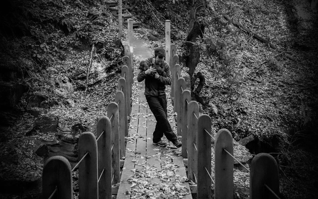 Electronic Music Sensation Hot Spoon, Cold Mango’s “First Dance of Eight Paws” Is the Heartbeat of an Auditory Existence beyond Anyone’s Imagination.