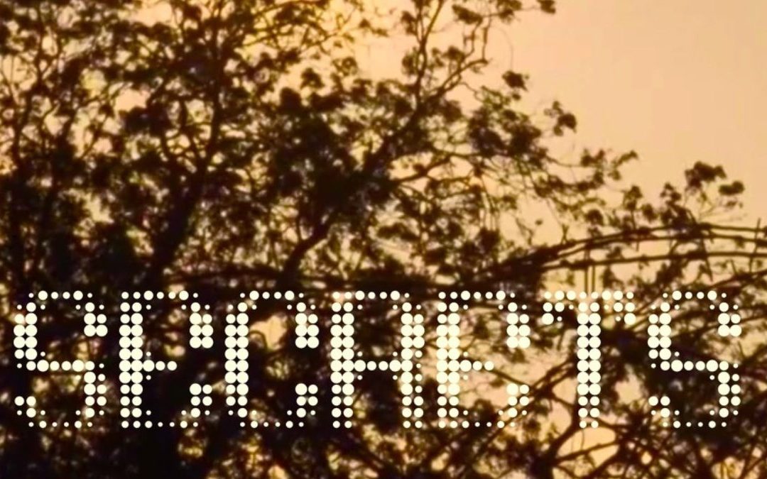 Oslo-Based Music Producer Kim Castle Unveils His Brand New Remix “Secret,” an Electronic and Indie Rock Masterpiece Featuring Harmony Drive.