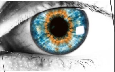 Belgium-Based Artist Life Minder’s Upbeat and Lively Tune “Stimulus” Is a Masterpiece in Transcending Instrumental Music.