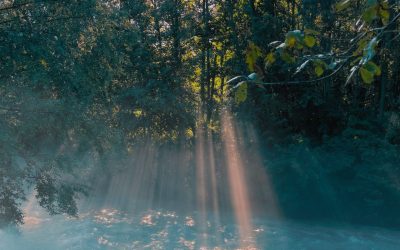 “Glimmer” by GEM Cheryl B Engelhardt and Dallas String Quartet Offers a Gentle Reminder to Find Beauty in the Quietest Morning Moments